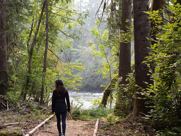 Photo 14 for Peaceful Stay on the McKenzie River