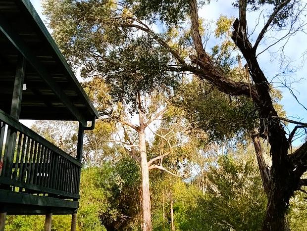 Photo 26 for Holiday House Nestled Between The Beach And The Lake