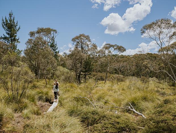 Photo 8 for ARUNA Estate Off-grid Cabins