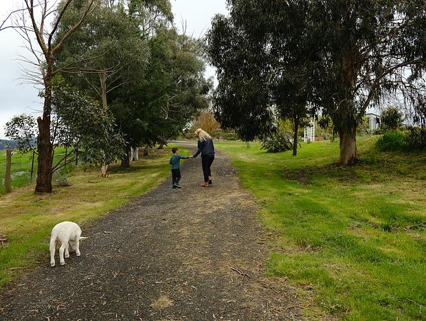 Photo 13 for Farmland Retreat with Unbeatable Views