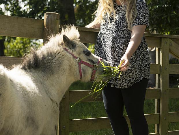 Photo 3 for Rose Cottage Farm