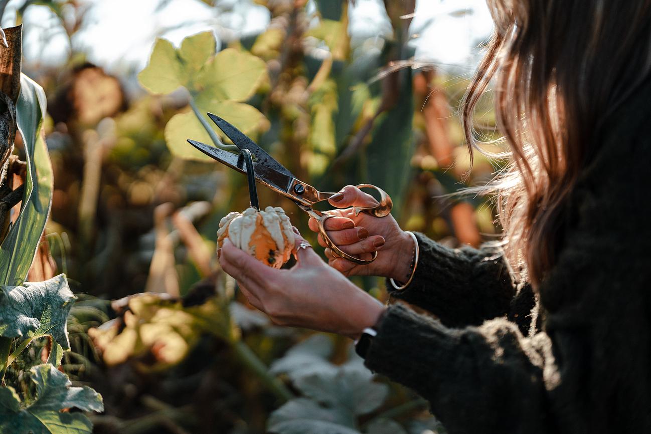 House Kinlands Cottage in Magic Skagit Valley Cottage for Rent in Bow