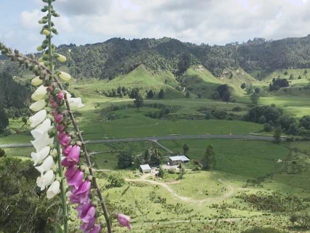 Photo 28 for Stunning Country Views Of Tranquil Paradise