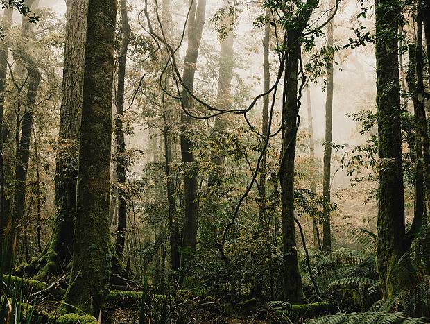 Photo 3 for Barrington Tops National Park