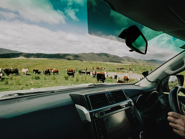 Photo 1 for Ever Changing Scenery Driving into Barrington Tops National Park