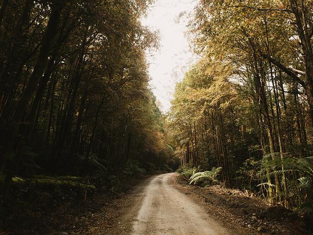 Photo 3 for Ever Changing Scenery Driving into Barrington Tops National Park