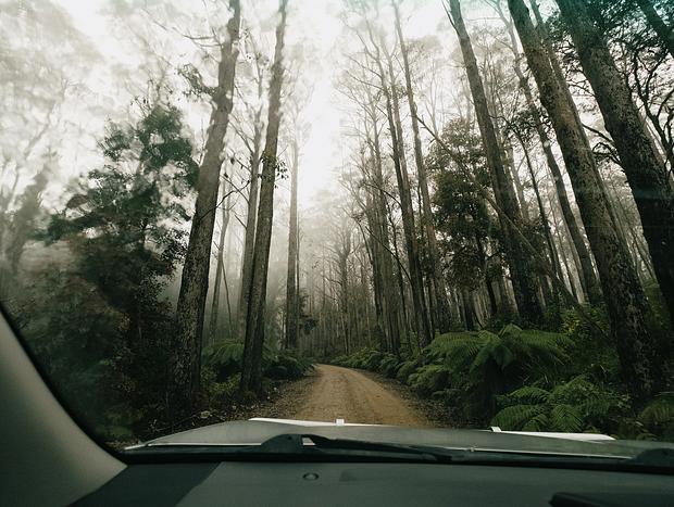 Photo 4 for Ever Changing Scenery Driving into Barrington Tops National Park