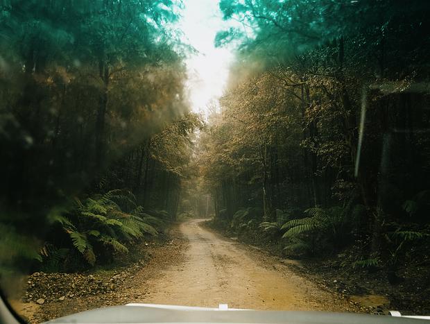 Photo 5 for Ever Changing Scenery Driving into Barrington Tops National Park