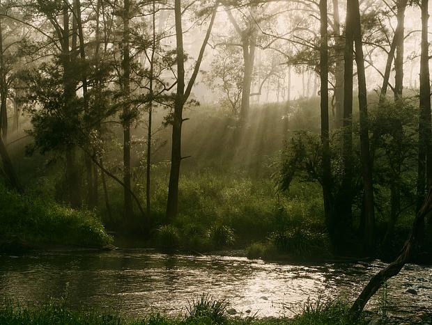 Photo 3 for Refreshing Swim in Barrington River
