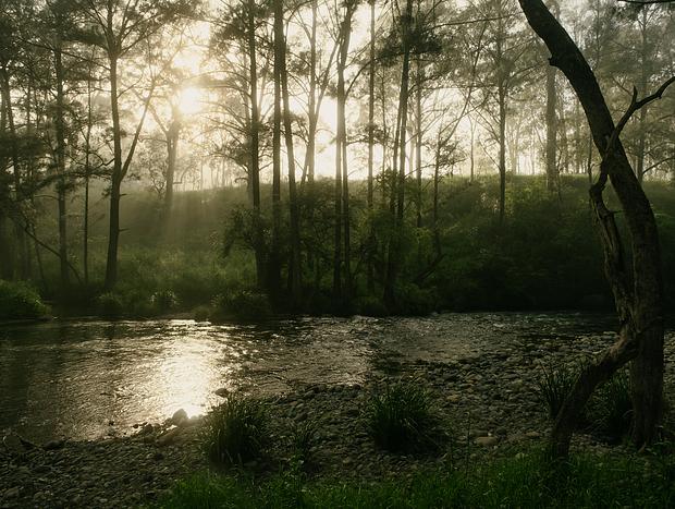 Photo 4 for Refreshing Swim in Barrington River