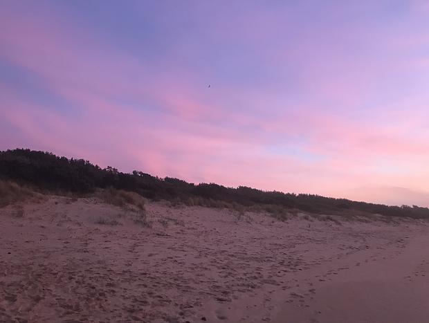 Photo 39 for Beachgrove Cottage at the Ninety Mile Beach