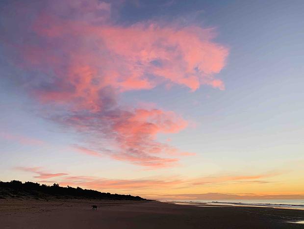 Photo 54 for Beachgrove Cottage at the Ninety Mile Beach