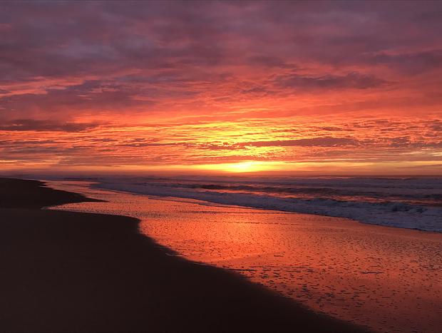Photo 57 for Beachgrove Cottage at the Ninety Mile Beach