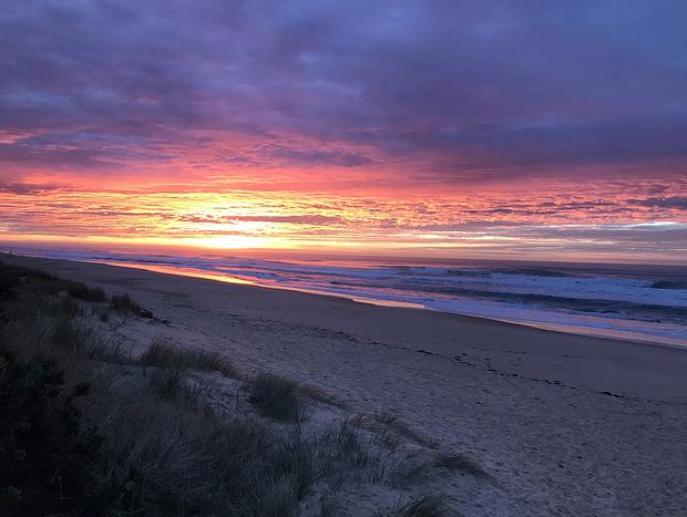 Photo 59 for Beachgrove Cottage at the Ninety Mile Beach