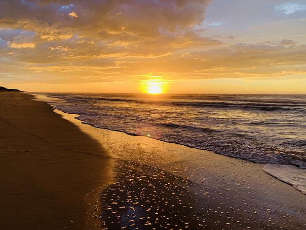 Photo 60 for Beachgrove Cottage at the Ninety Mile Beach