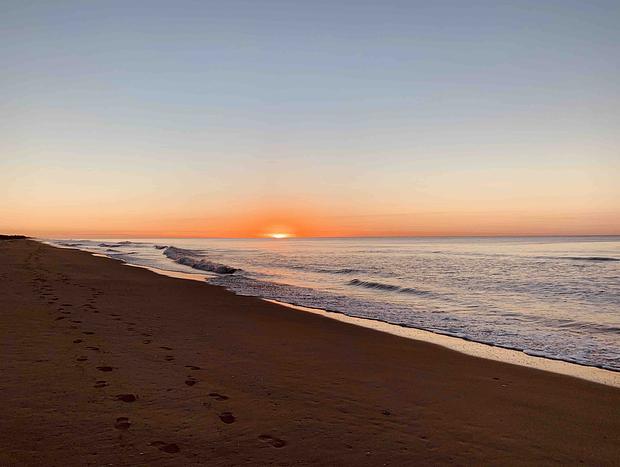 Photo 61 for Beachgrove Cottage at the Ninety Mile Beach