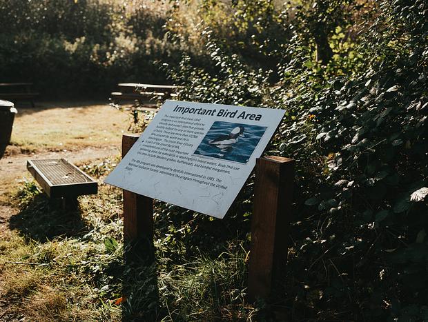 Photo 5 for Bird Watching Walk