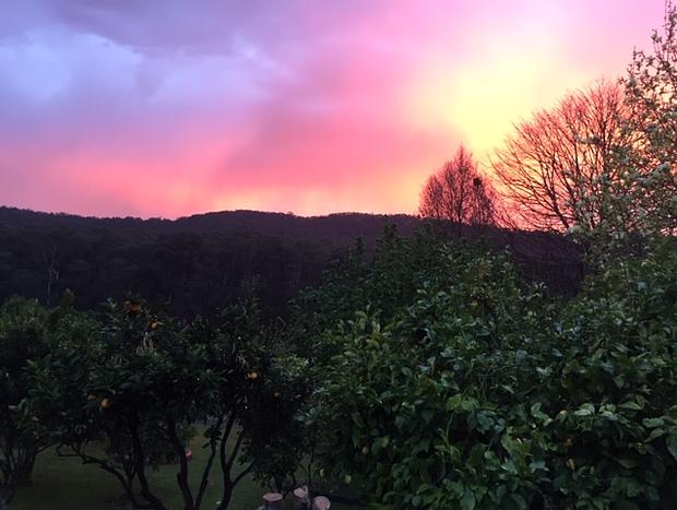 Photo 30 for Noojee Getaway