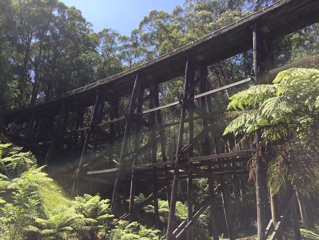 Photo 31 for Noojee Getaway