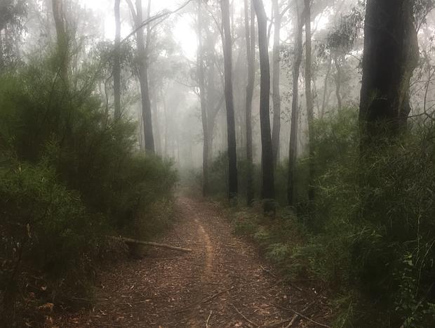 Photo 36 for Noojee Getaway