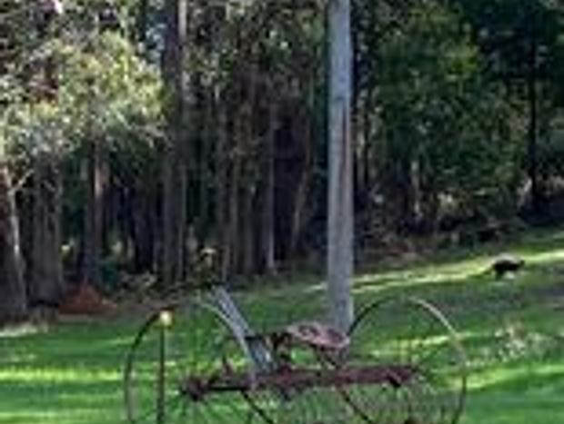 Photo 31 for Woodside Country Retreat