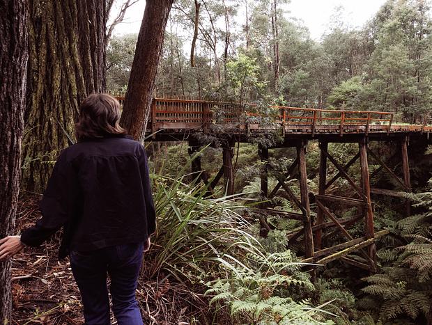 Photo 16 for Treehouse at Tanglewood