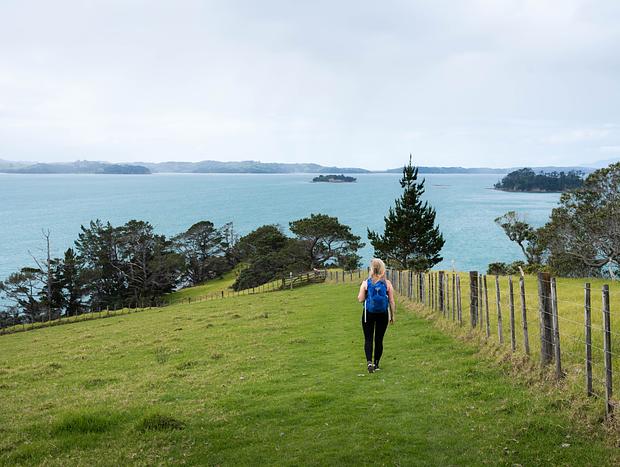 Photo 2 for Scandrett Bay Loop