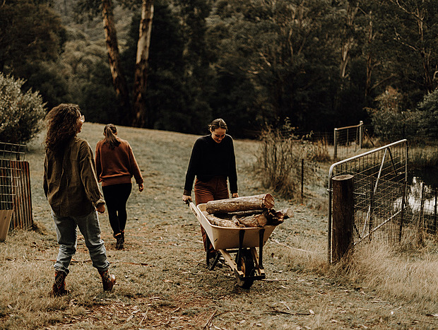 Photo 17 for Into the Wilderness