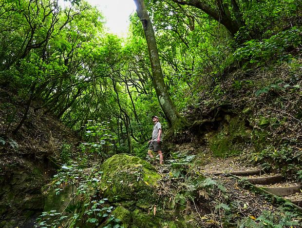 Photo 2 for Manawatū Gorge Track