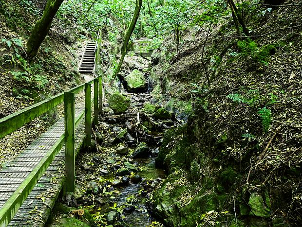 Photo 4 for Manawatū Gorge Track