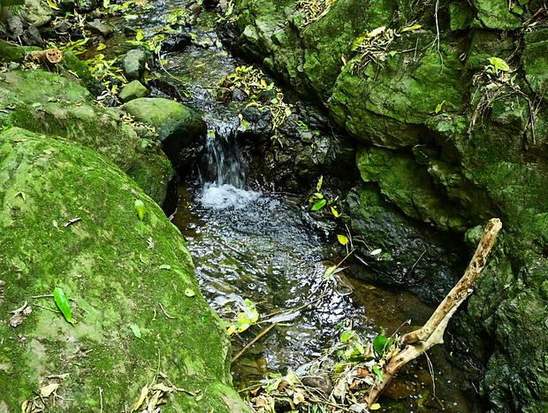 Photo 5 for Manawatū Gorge Track
