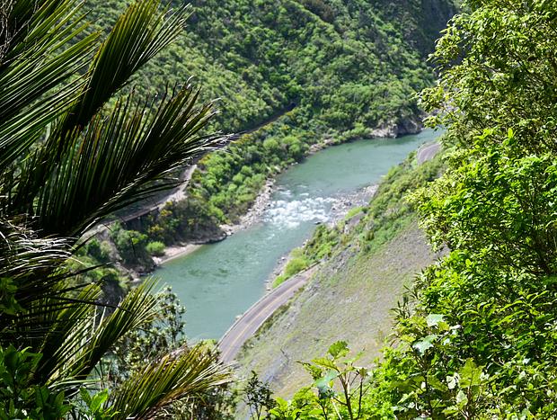 Photo 1 for Manawatū Gorge Track