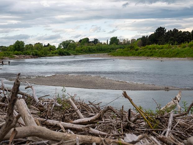 Photo 2 for Manawatū River Pathway