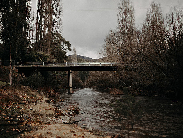 Photo 14 for Into the Wilderness