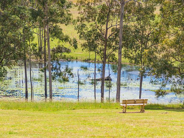 Photo 10 for The Sanctuary at Clarendon Forest Retreat