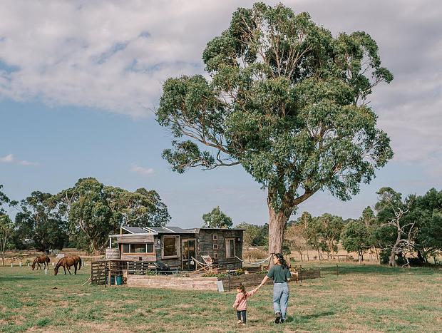 Photo 14 for 'Seahorse' At Wattle Bank Farm