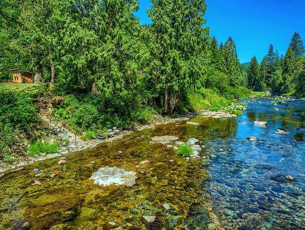 Photo 6 for Angels Rest B&B and Lavender Farm on the Washougal River