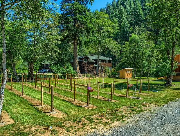 Photo 5 for Angels Rest B&B and Lavender Farm on the Washougal River