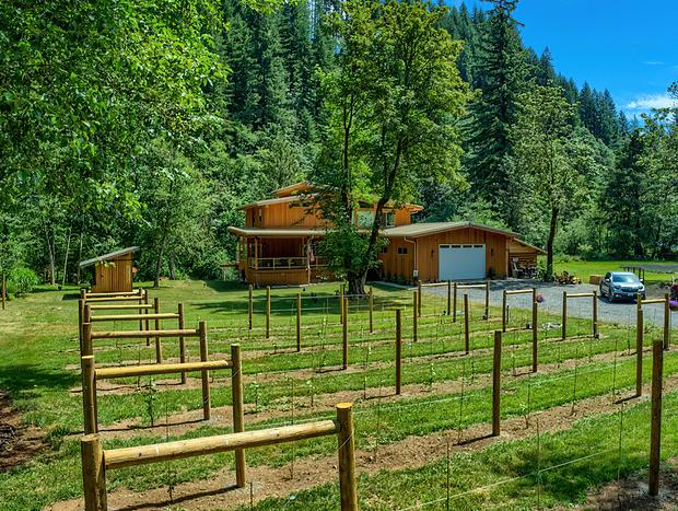 Photo 7 for Angels Rest B&B and Lavender Farm on the Washougal River
