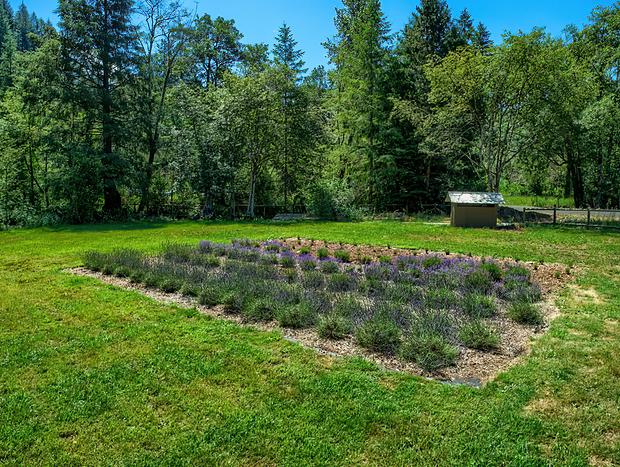 Photo 12 for Angels Rest B&B and Lavender Farm on the Washougal River