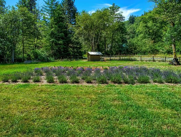 Photo 13 for Angels Rest B&B and Lavender Farm on the Washougal River