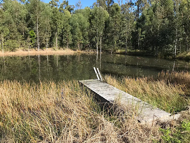 Swim in the Dam