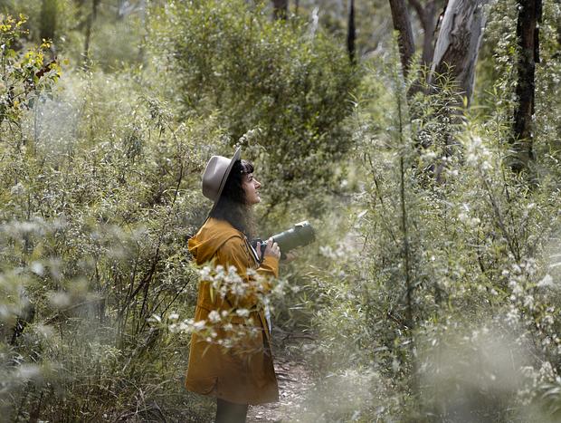 Photo 1 for Bushwalking at Bungonia National Park