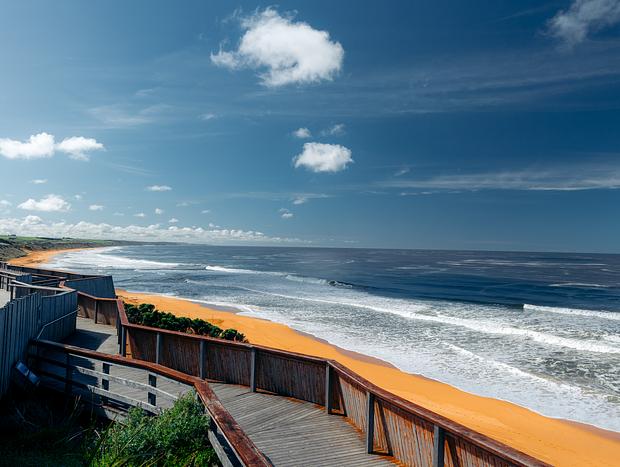 Photo 1 for Look for Whales at Logans Beach Whale Nursery