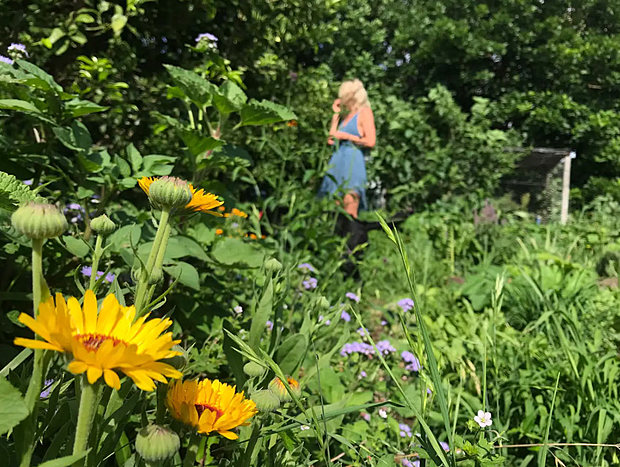 Walks on the Property