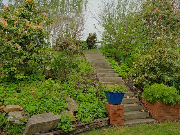 Photo 11 for Farmland Retreat with Unbeatable Views