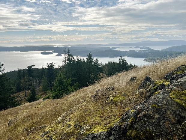 Photo 21 for An Orcas Island Waterfront Cottage