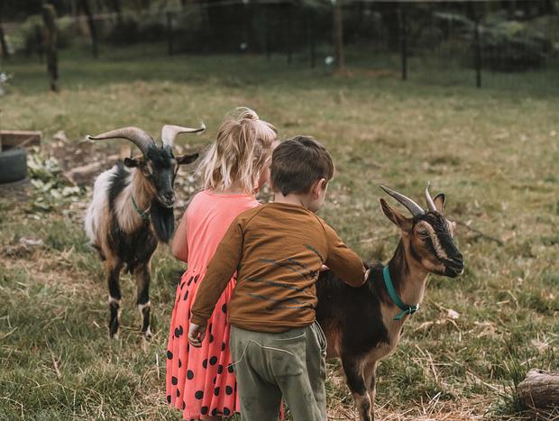 Photo 17 for Perfect Family Getaway