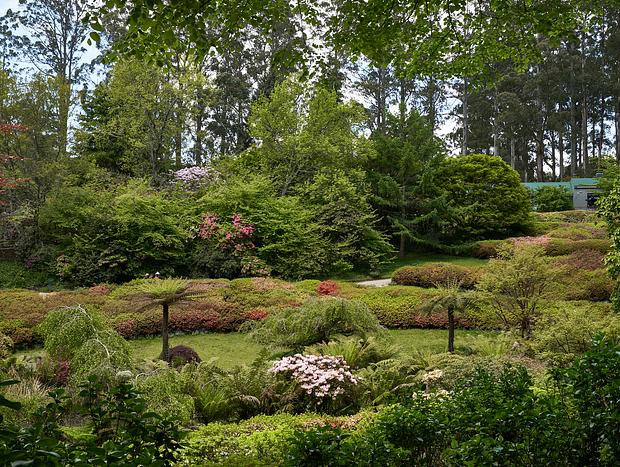 Photo 2 for Dandenong Botanical Gardens