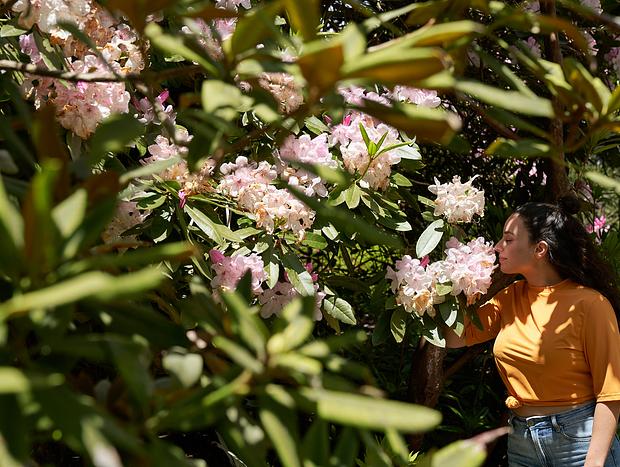 Photo 4 for Dandenong Botanical Gardens